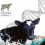 catalogo leche